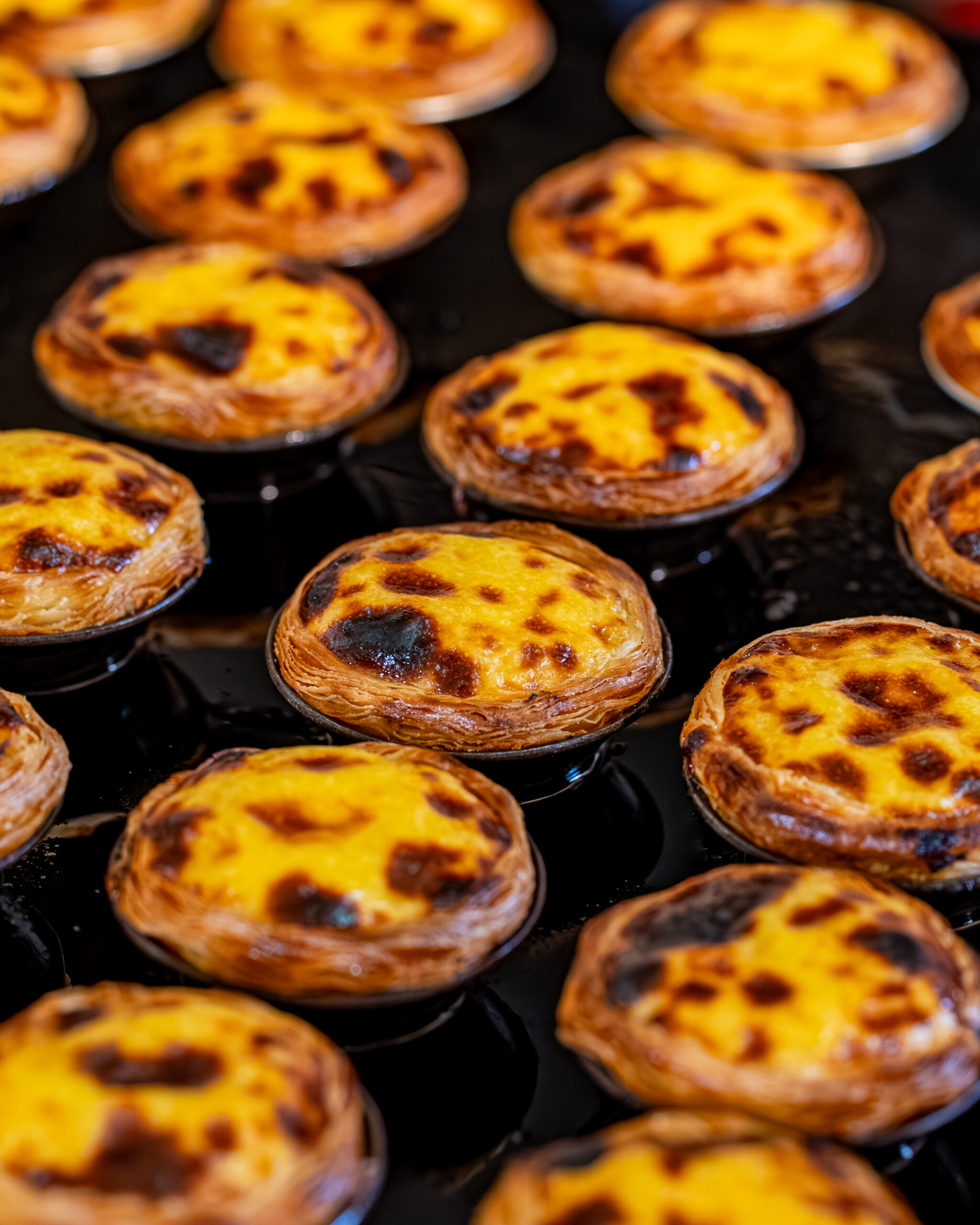 2025.05.01-Natas_Arcada-39